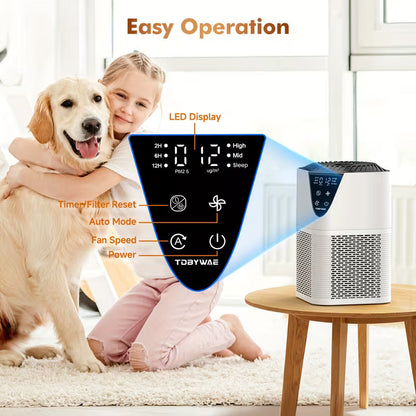 Air Purifier with Washable Filter and PM2.5 Monitor
